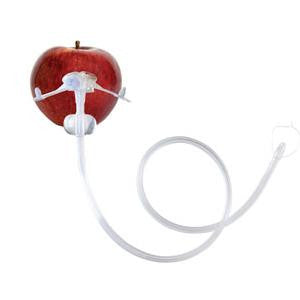 AMT G-JET Low-Profile Transgastric-Jejunal Feeding Tube, 14 Fr & 16 Fr