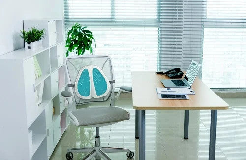 Contour KoolGel Lumbar Cushion (shown without cover).